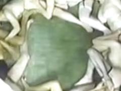 Erotic World Of Annie Sprinkle