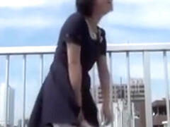 Hairy Japanese Pussies