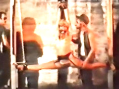 Curiosity Excited The Kat