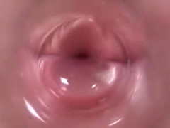 0004-05-02XDLLLPNYCBZJ