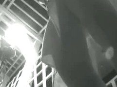 Striking blonde bares her pussy to an upskirt voyeur