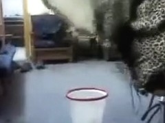 Bewitching Arab butt shaking