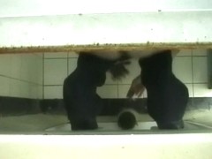 wc voy 03