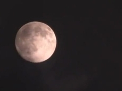 Amazing adult clip activities: blow job (fera) wild watch show