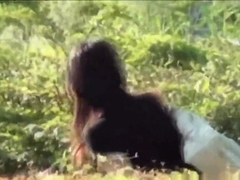 Asian women public piss