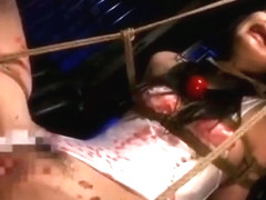 policewoman officer pantyhose face humiliation