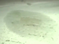 Creampie Gangbang Festival