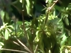 Hot sharking scene of extremely tempting young exotic oriental chick