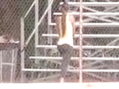 Sexy Sport Babe In Stretch Pants Doing
